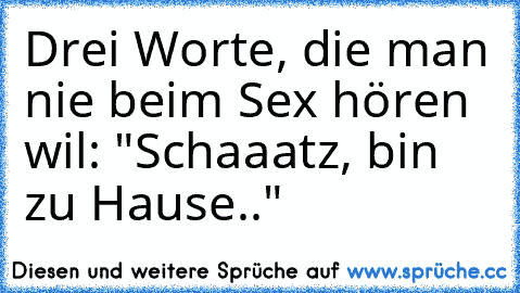 Drei Worte, die man nie beim Sex hören wil: "Schaaatz, bin zu Hause.."