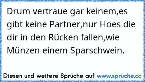 Drum vertraue gar keinem,
es gibt keine Partner,
nur Hoes die dir in den Rücken fallen,
wie Münzen einem Sparschwein.