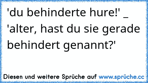 'du behinderte hure!' _ 'alter, hast du sie gerade behindert genannt?'