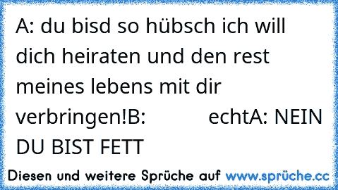 A: du bisd so hübsch ich will dich heiraten und den rest meines lebens mit dir verbringen!
B:          ♥ echt♥
A: NEIN DU BIST FETT