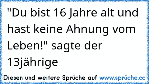 "Du bist 16 Jahre alt und hast keine Ahnung vom Leben!" sagte der 13jährige