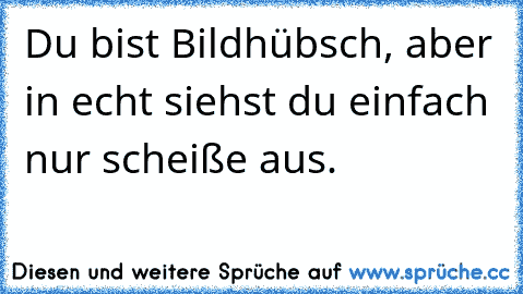 Du bist Bildhübsch, aber in echt siehst du einfach nur scheiße aus.