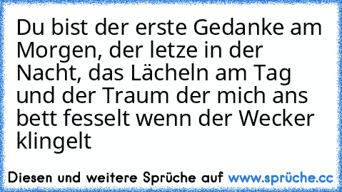 Du bist der erste Gedanke am Morgen, der letze in der Nacht, das Lächeln am Tag und der Traum der mich ans bett fesselt wenn der Wecker klingelt ♥