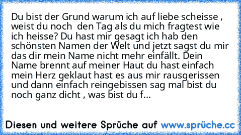 Du bist der Grund warum ich auf liebe scheisse , weist du noch  den Tag als du mich fragtest wie ich heisse? Du hast mir gesagt ich hab den schönsten Namen der Welt und jetzt sagst du mir das dir mein Name nicht mehr einfällt. Dein Name brennt auf meiner Haut du hast einfach mein Herz geklaut hast es aus mir rausgerissen und dann einfach reingebissen sag mal bist du noch ganz dicht , was bist d...