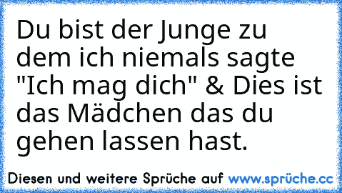 Du bist der Junge zu dem ich niemals sagte "Ich mag dich" & Dies ist das Mädchen das du gehen lassen hast.