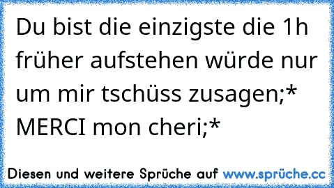 Du bist die einzigste die 1h früher aufstehen würde nur um mir tschüss zusagen;* MERCI mon cheri;*