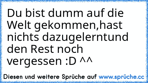 Du bist dumm auf die Welt gekommen,
hast nichts dazugelernt
und den Rest noch vergessen :D ^^