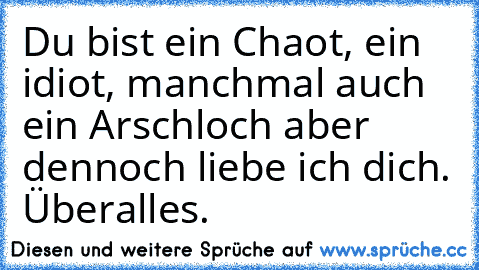 Du bist ein Chaot, ein idiot, manchmal auch ein Arschloch aber dennoch liebe ich dich. Überalles.♥