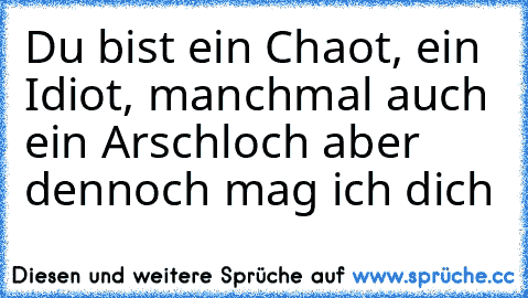 Du bist ein Chaot, ein Idiot, manchmal auch ein Arschloch aber dennoch mag ich dich ♥