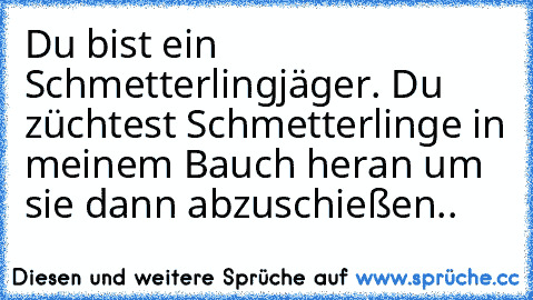 Du bist ein Schmetterlingjäger. Du züchtest Schmetterlinge in meinem Bauch heran um sie dann abzuschießen..