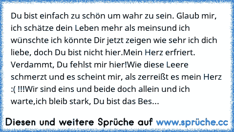 Du bist einfach zu schön um wahr zu sein. Glaub mir, ich schätze dein Leben mehr als meins
und ich wünschte ich könnte Dir jetzt zeigen wie sehr ich dich liebe, doch Du bist nicht hier.
Mein Herz erfriert. Verdammt, Du fehlst mir hier!
Wie diese Leere schmerzt und es scheint mir, als zerreißt es mein Herz :( !!!
Wir sind eins und beide doch allein und ich warte,
ich bleib stark, Du bist das Beste ...