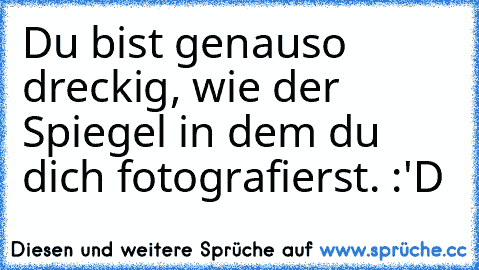 Du bist genauso dreckig, wie der Spiegel in dem du dich fotografierst. :'D