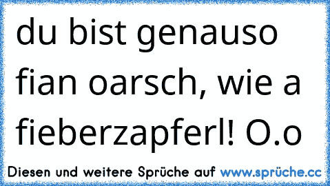 du bist genauso fian oarsch, wie a fieberzapferl! O.o