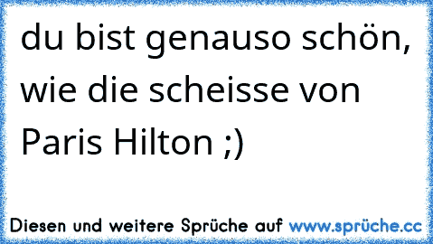 du bist genauso schön, wie die scheisse von Paris Hilton ;)