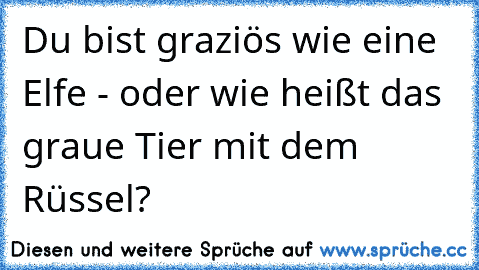 Du bist graziös wie eine Elfe - oder wie heißt das graue Tier mit dem Rüssel?