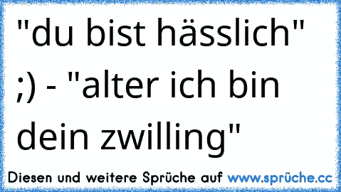 "du bist hässlich" ;) - "alter ich bin dein zwilling"