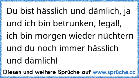 Du bist hässlich und dämlich, ja und ich bin betrunken, !egal!, ich bin morgen wieder nüchtern und du noch immer hässlich und dämlich!