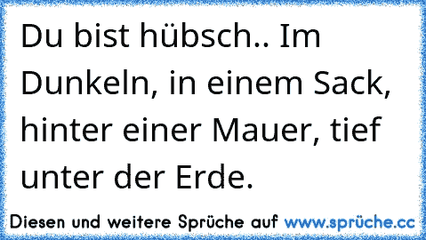 Du bist hübsch.. Im Dunkeln, in einem Sack, hinter einer Mauer, tief unter der Erde.