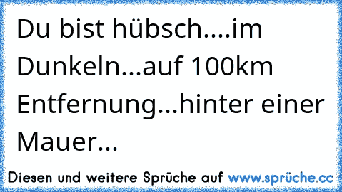 Du bist hübsch....im Dunkeln...auf 100km Entfernung...hinter einer Mauer...