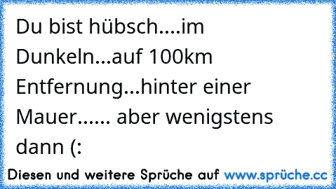 Du bist hübsch....im Dunkeln...auf 100km Entfernung...hinter einer Mauer...
... aber wenigstens dann (: