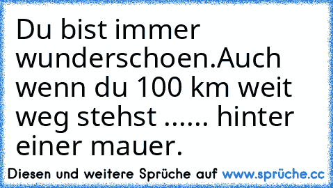 Du bist immer wunderschoen.Auch wenn du 100 km weit weg stehst ...... hinter einer mauer.