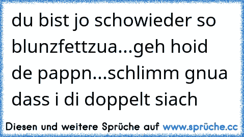 du bist jo schowieder so blunzfettzua...geh hoid de pappn...schlimm gnua dass i di doppelt siach