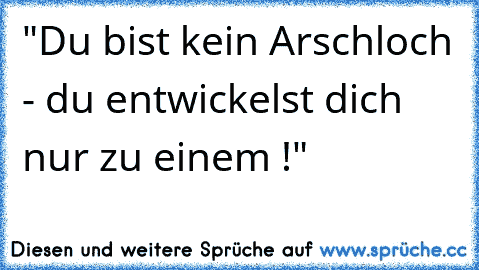 "Du bist kein Arschloch - du entwickelst dich nur zu einem !"