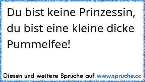 Du bist keine Prinzessin, du bist eine kleine dicke Pummelfee!