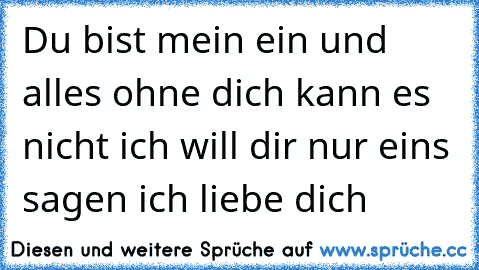 Du bist mein ein und alles ohne dich kann es nicht ich will dir nur eins sagen ich liebe dich ♥