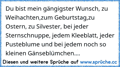 Du bist mein gängigster Wunsch, zu Weihachten,zum Geburtstag,zu Ostern, zu Silvester, bei jeder Sternschnuppe, jedem Kleeblatt, jeder Pusteblume und bei jedem noch so kleinen Gänseblümchen....