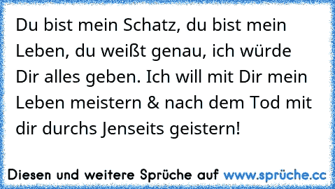 Du bist mein Schatz, du bist mein Leben, du weißt genau, ich würde Dir alles geben. Ich will mit Dir mein Leben meistern & nach dem Tod mit dir durchs Jenseits geistern!