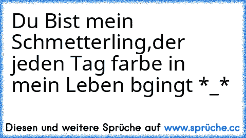 Du Bist mein Schmetterling,der jeden Tag farbe in mein Leben bgingt *_*