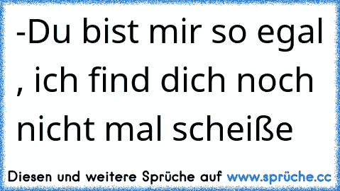 -Du bist mir so egal , ich find dich noch nicht mal scheiße