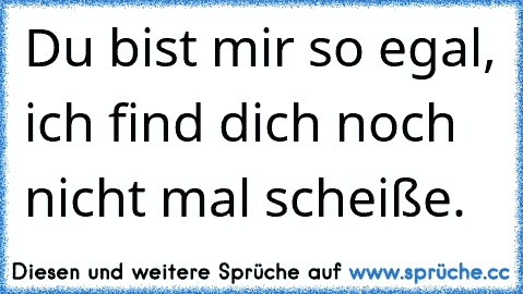 Du bist mir so egal, ich find dich noch nicht mal scheiße.