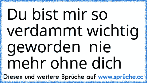 Du bist mir so verdammt wichtig geworden ♥ nie mehr ohne dich ♥