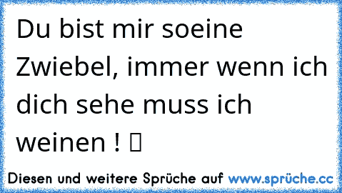 Du bist mir soeine Zwiebel, immer wenn ich dich sehe muss ich weinen ! ツ