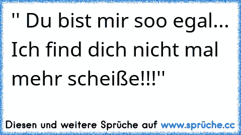 '' Du bist mir soo egal... Ich find dich nicht mal mehr scheiße!!!''