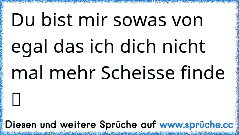 Du bist mir sowas von egal das ich dich nicht mal mehr Scheisse finde ツ