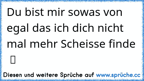 Du bist mir sowas von egal das ich dich nicht mal mehr Scheisse finde  ツ