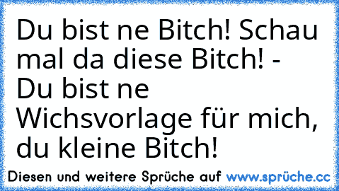 Du bist ne Bitch! Schau mal da diese Bitch! - Du bist ne Wichsvorlage für mich, du kleine Bitch!