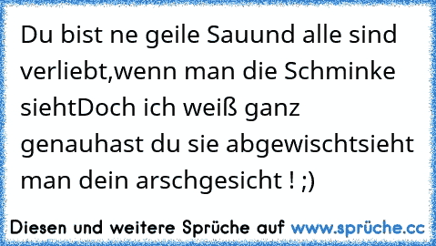 Du bist ne geile Sau
und alle sind verliebt,
wenn man die Schminke sieht
Doch ich weiß ganz genau
hast du sie abgewischt
sieht man dein arschgesicht ! ;)