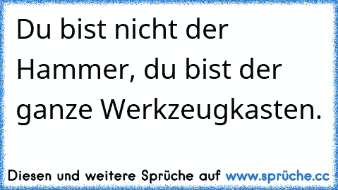 Du bist nicht der Hammer, du bist der ganze Werkzeugkasten.