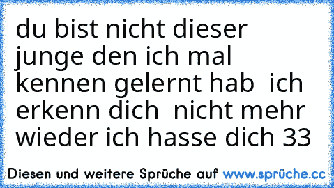 du bist nicht dieser junge den ich mal kennen gelernt hab  ich erkenn dich  nicht mehr wieder ich hasse dich ♥33