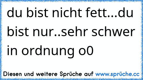 du bist nicht fett...du bist nur..sehr schwer in ordnung o0