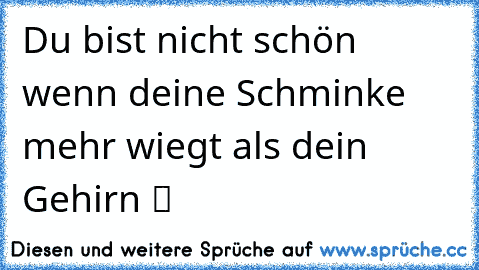 Du bist nicht schön wenn deine Schminke mehr wiegt als dein Gehirn ツ