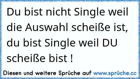 Du bist nicht Single weil die Auswahl scheiße ist, du bist Single weil DU scheiße bist !