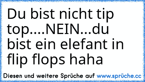 Du bist nicht tip top....NEIN...du bist ein elefant in flip flops haha