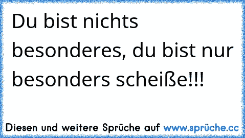 Du bist nichts besonderes, du bist nur besonders scheiße!!!