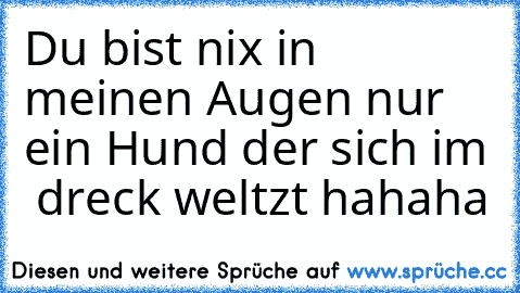 Du bist nix in meinen Augen nur ein Hund der sich im  dreck weltzt hahaha