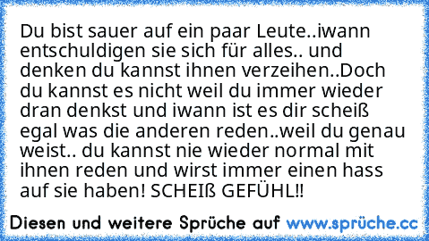 Du bist sauer auf ein paar Leute..
iwann entschuldigen sie sich für alles.. und denken du kannst ihnen verzeihen..
Doch du kannst es nicht weil du immer wieder dran denkst und iwann ist es dir scheiß egal was die anderen reden..
weil du genau weist.. du kannst nie wieder normal mit ihnen reden und wirst immer einen hass auf sie haben! 
SCHEIß GEFÜHL!!